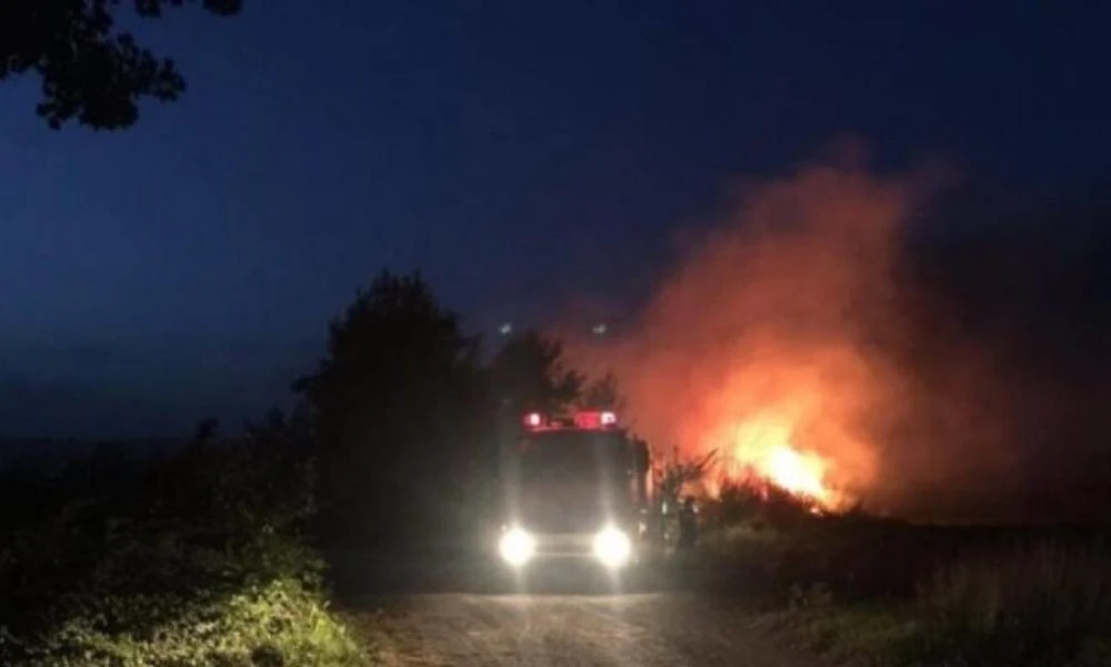 Σητεία: Φωτιά εκδηλώθηκε σε χορτολιβαδική έκταση - Μάχη με τις φλόγες έδιναν οι πυροσβέστες μέχρι τα ξημερώματα!